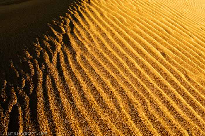 Sand Ripples Photo, Florence Sand Dunes, Oregon Coast
